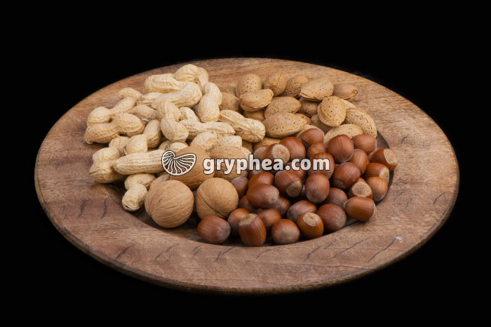 Fruits secs (Noix, Noisettes, Amandes, Arachides) - gryphea.org